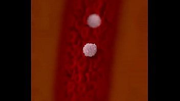 Vid 20170510 Wa0044 thumbnail