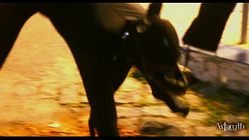 Dom lides to petplay with his submissive slave p1