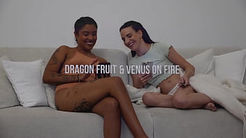 Wild wild step sisters