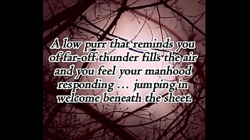 Dont mess with a succubus