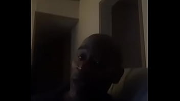 Lizella lizard aka big dick james