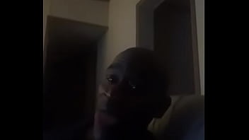 Lizella lizard aka big dick james