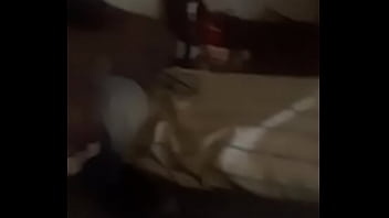 Lizella lizard aka big dick james