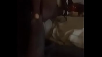 Lizella lizard aka big dick james