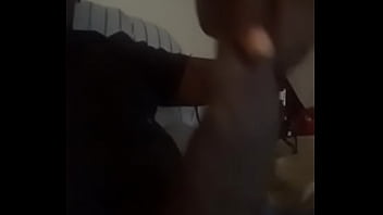 Lizella lizard aka big dick james