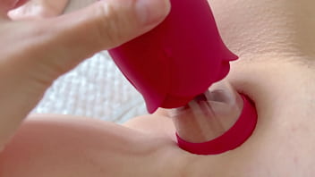 La concha más bonita de internet