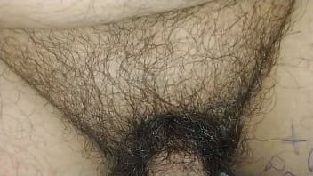 Vídeo de verificação