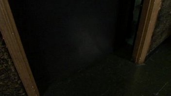 Nikki benz on the toilet