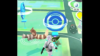 Linoone botando zigzagoon pra mamar gostoso