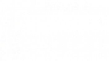 You like chicks with dicks b