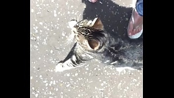 Next door neighbour feet delicious