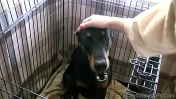 Hot girlfriend gets naked and sucks with a blowjob