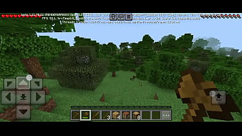 Maincraft no se jugar pipipi