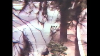 Mothers wishes vintage 1960's