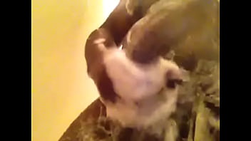 Video bokep part 13672709