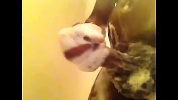 Video bokep part 13672709