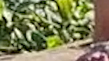 Aventura pov na o proibido é delicioso