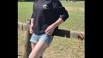 Demelza update #11 20250406 132953 apr 06 2025