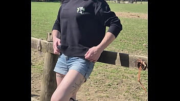 Demelza update #11 20250406 132953 apr 06 2025