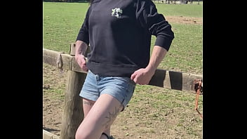 Demelza update #11 20250406 132953 apr 06 2025