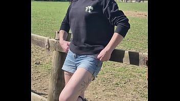 Demelza update #11 20250406 132953 apr 06 2025