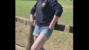 Demelza update #11 20250406 132953 apr 06 2025