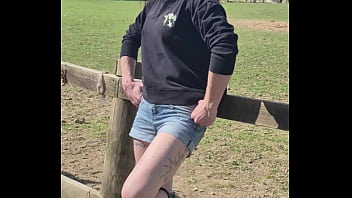 Demelza update #11 20250406 132953 apr 06 2025