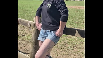 Demelza update #11 20250406 132953 apr 06 2025