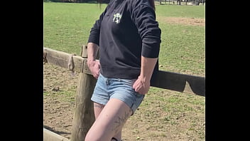 Demelza update #11 20250406 132953 apr 06 2025