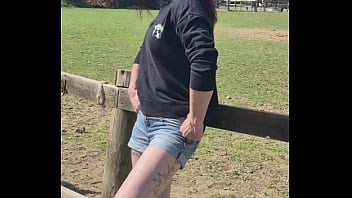 Demelza update #11 20250406 132953 apr 06 2025