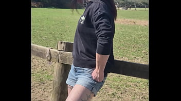 Demelza update #11 20250406 132953 apr 06 2025