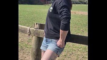 Demelza update #11 20250406 132953 apr 06 2025