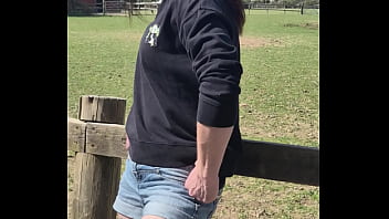 Demelza update #11 20250406 132953 apr 06 2025