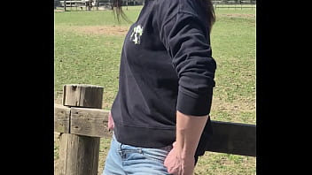 Demelza update #11 20250406 132953 apr 06 2025