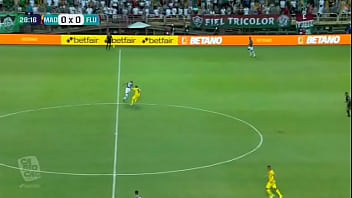 Campeonato carioca 2022