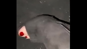 Check all of biancaporcellina enjoying being fingered in a park