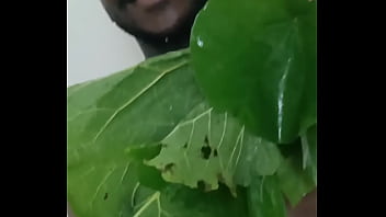 Similar to the human flower arse vase the human green leaf arse vase 8