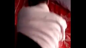 Mi perrita manden chat