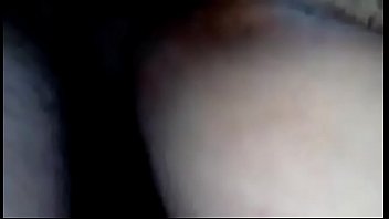 Le mato el oso a apuñaladas