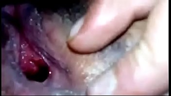 Le mato el oso a apuñaladas