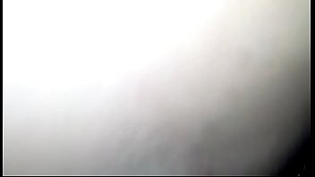 Le mato el oso a apuñaladas