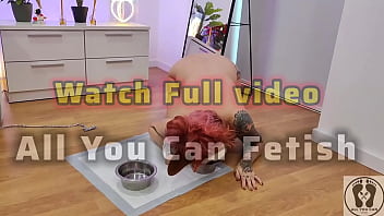 Promo pooch rubbing couch and masturbates with special dildo