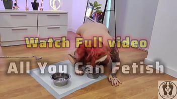 Promo pooch rubbing couch and masturbates with special dildo