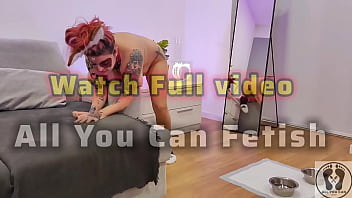 Promo pooch rubbing couch and masturbates with special dildo