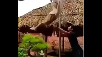 Troll hài hước 2019 Troll hài hước 2019