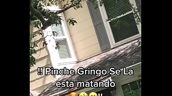 Hermosas mujeres de latinoamerica