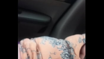 Aussiefox having fun