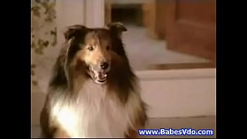 01497173eda2ead196075d14d9dd85d1 1