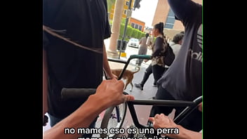 Traviesa traste grande detonanda