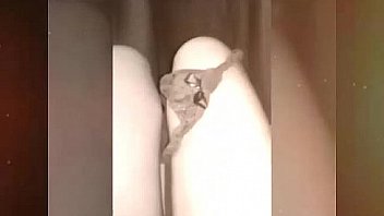 Mabellaxxx perra bien perucha putita chupando pinga y manoseandose